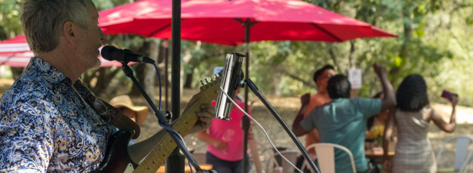 Live Music at Mellowood Vineyard